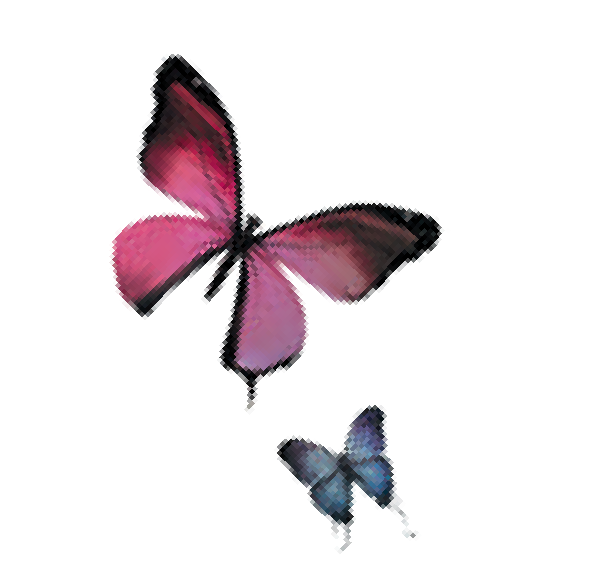motyl